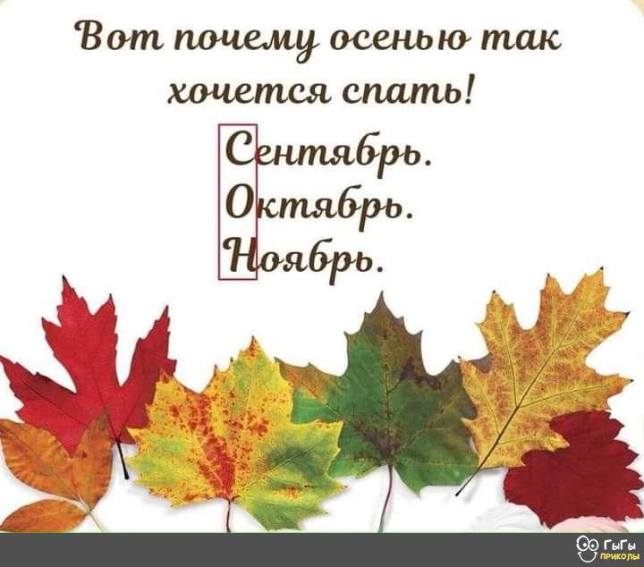 Вот почему осенью так спать бро тябро пябрь
