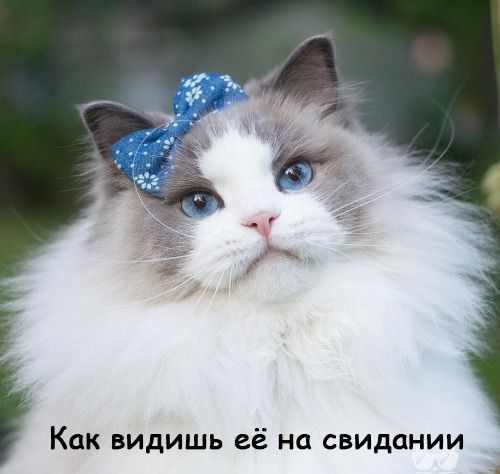 Как видишь её на свидании