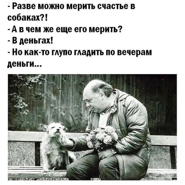 Разве можно мерить счастье в собаках А в чем же еще его мерить В деньгах Но как то ГАУПО манить по вечерам деньги
