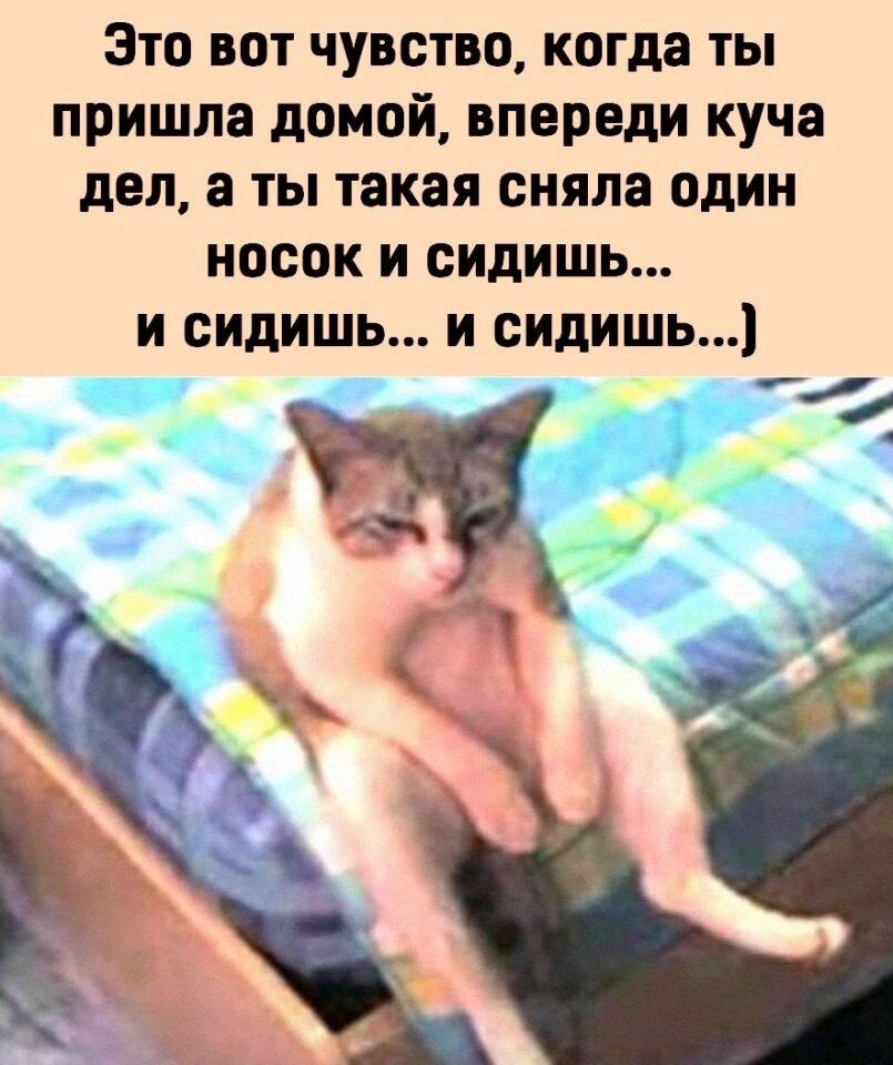 Это вот чувство когда ты пришла домой впереди куча дел а ты такая сняла один носок и сидишь и сидишь и сидишь