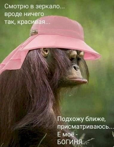 Смотрю в зеркало Подхожу ближе присматриваюсь