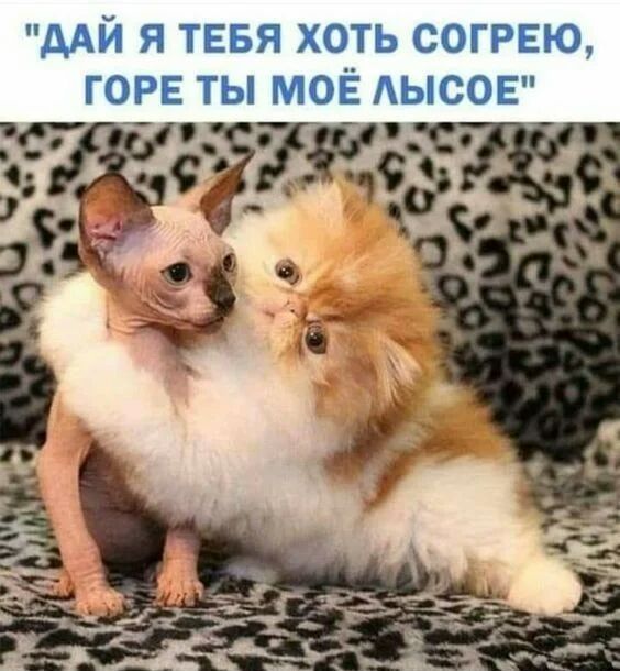 дАЙ Я ТЕБЯ ХОТЬ СОГРЕЮ ГОРЕ ТЫ МОЁ АЫСОЕ