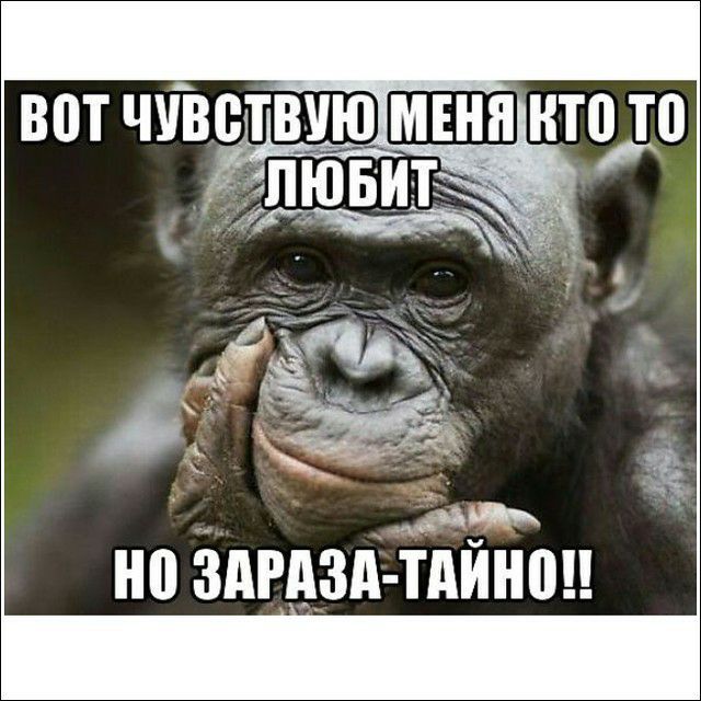 ВВТ ЧУВВТВУЮ МЕНЯ КТП ТП но здгдзд тдинон