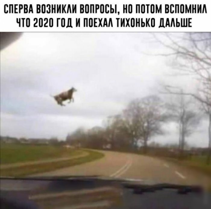 ВПЕРВА ВПЗНИКАИ ВППРПВЫ НП ППТПМ ВБППМНИА что 2020 ПШ И ППЕХАА ТИХПНЬКП ДАЛЬШЕ 7