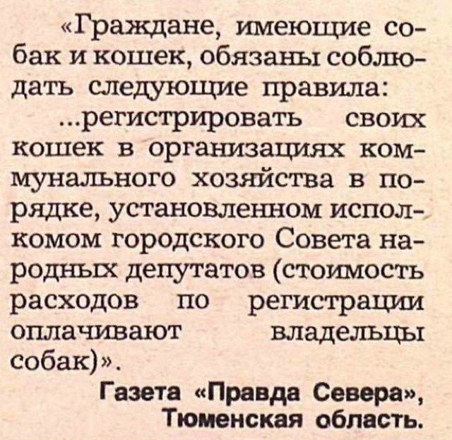 Граждане имеющие со бак и кошек обязаны соблю дать следующие правила регистрировать своих кошек в организашаях ком мунального хозяйства в по рядке установленном испол комом городского Совета на родных депутатов стошиость расходов по регистрации оплачивают владельцы собак Газета Правда Севера Тюменская область