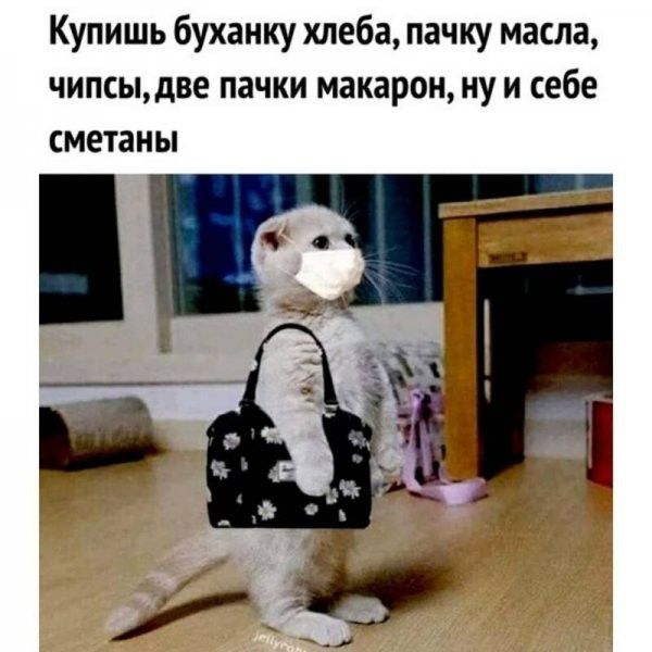 Купишь буханку хлеба пачку масла чипсыдве пачки макарон ну и себе сметаны