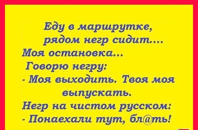 Еду в маршрутке рядом негр сидит Моя остановка Говорю негру Моя выходить Твоя моя выпускать Негр на чистом русском Понаехали тут блть