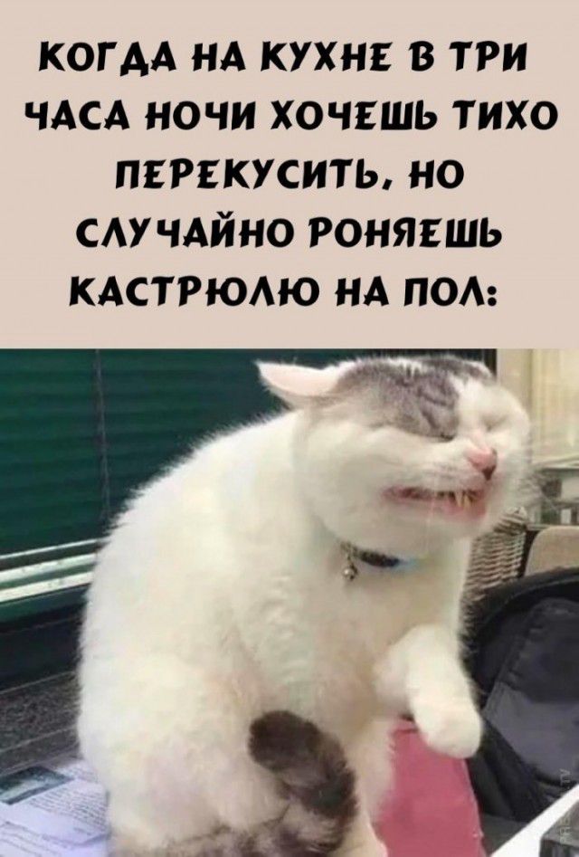 КОГАА НА КУХНЕ в три ЧАСА ночи хочвшь тихо ПЕРЕКУСИТЬ но САУ ЧАЙНО гоняяшь КАСТРЮАЮ НА пом