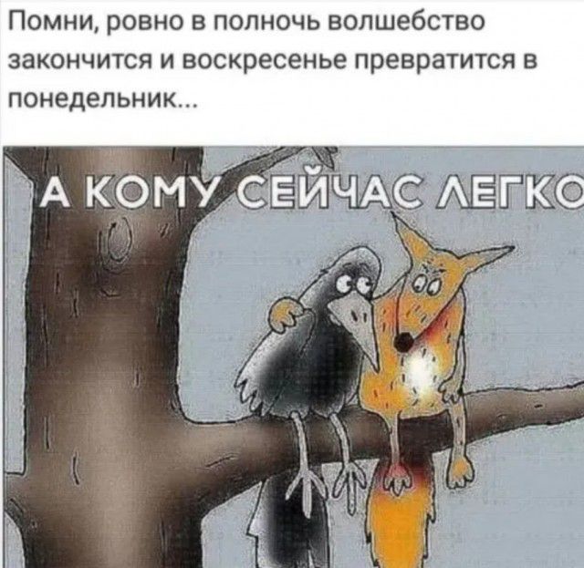 Помни ровно в полночь волшебство закончится и воскресенье превратится в понедельник