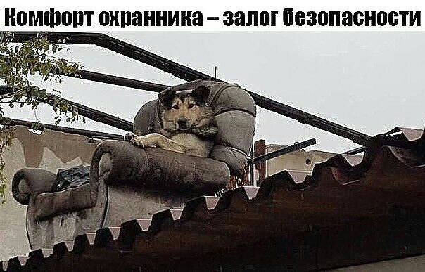 ВМФ пхпаннииа залог ЁБЗППЗБНЩБТИ