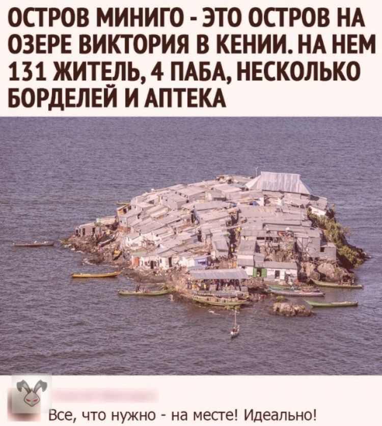 ОСТРОВ МИНИГО ЭТО ОСТРОВ НА ОЗЕРЕ ВИКТОРИЯ В КЕНИИ НА НЕМ 131 ЖИТЕЛЬ 4 ПАБА НЕСКОЛЬКО БОРДЕЛЕЙ И АПТЕКА Все что нужно на месге Идеально
