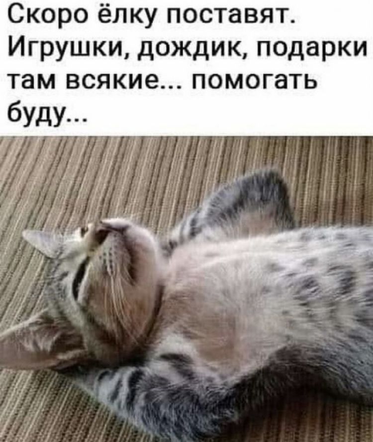 Скоро ёлку поставят Игрушки дождик подарки там всякие помогать