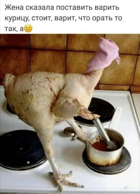 Жена сказала поставить варить курицу стоит верит что орать то так а