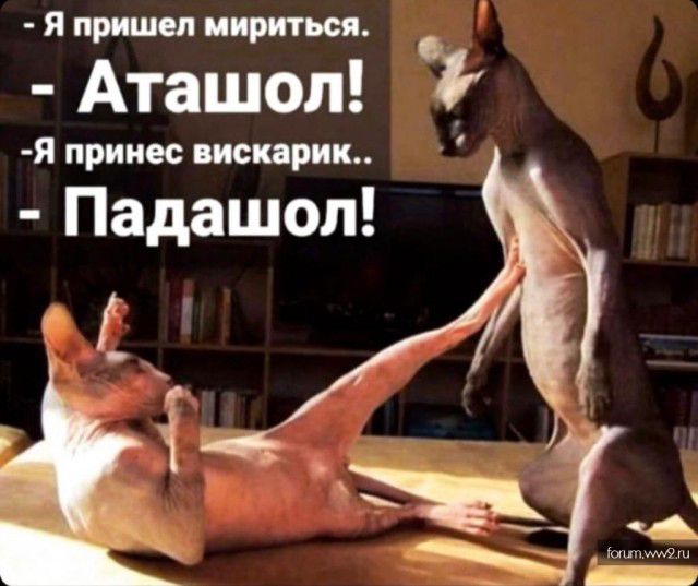 я пришел мириться Аташол я принес шарик Падашол