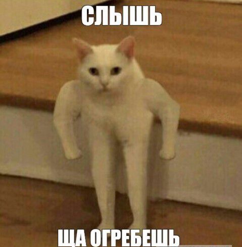 Ш ШРЕБЕШЬ