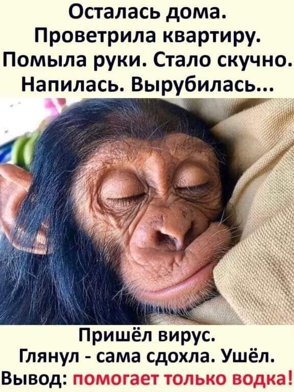 Осталась дома Проветрила квартиру Помыла руки Стало скучно Напилась Вырубилась Пришёлвиру Глянул сама сд9хла Ушёл Вывод