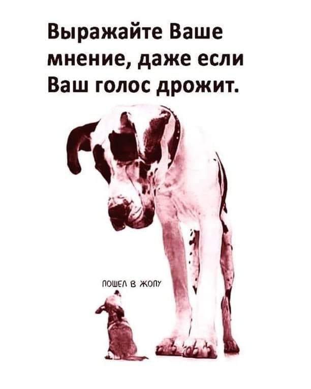 Выражайте Ваше мнение даже если Ваш голос дрожит ПОШЁЛ Б ЖОПУ ъ