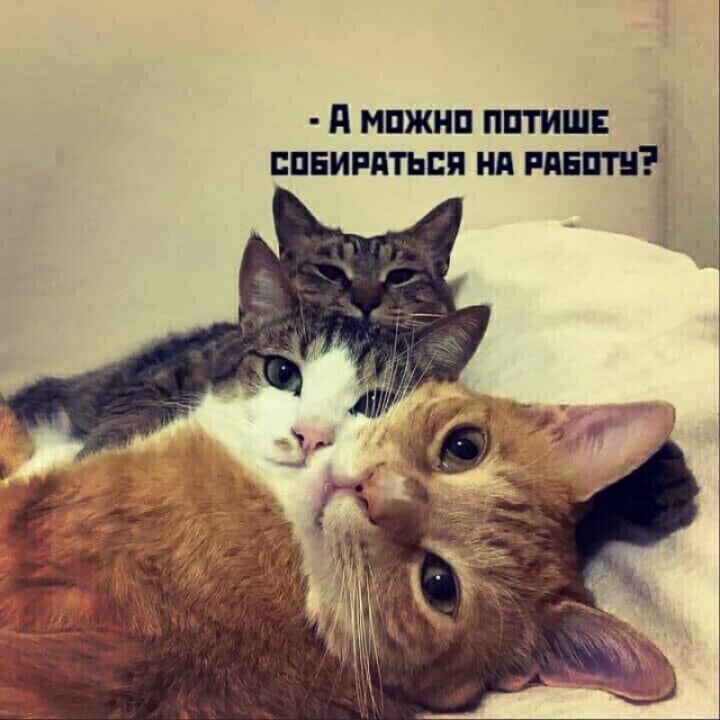 д мпжнп пптиш сдвигаться нп плат