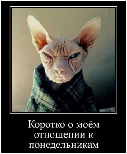 Коротко о моём отношении понедельникам
