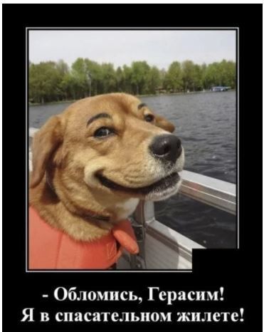 Обломись Герасим Я в спасательном жилете