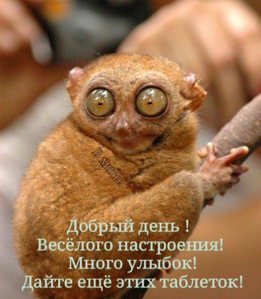 4 дббрый день Веёёлого настро Много улыбок _айте ещё этих таблеток