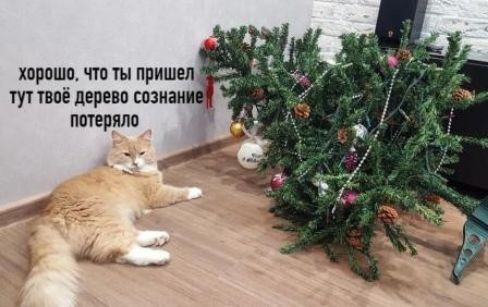 хороша чтп ты пришел _ тут твоё перевп гозман потеряло