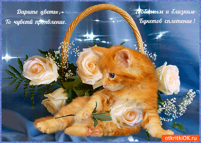рсКщКпОКш