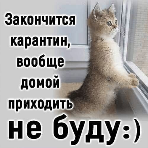 Закончится карантин_ 1