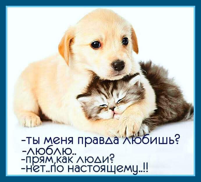 ты меня правдаЁишь Аюбю прям как АЮАИ нет до настоящему