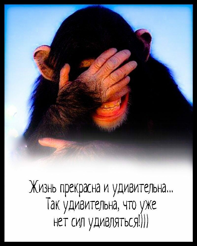Жизнь прекрасна и удивительна Так удивительна что уже нет сил удивляться