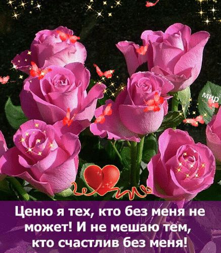 Ценю я тех кто без мвнй не может И не мешаю м кто счастлив без не