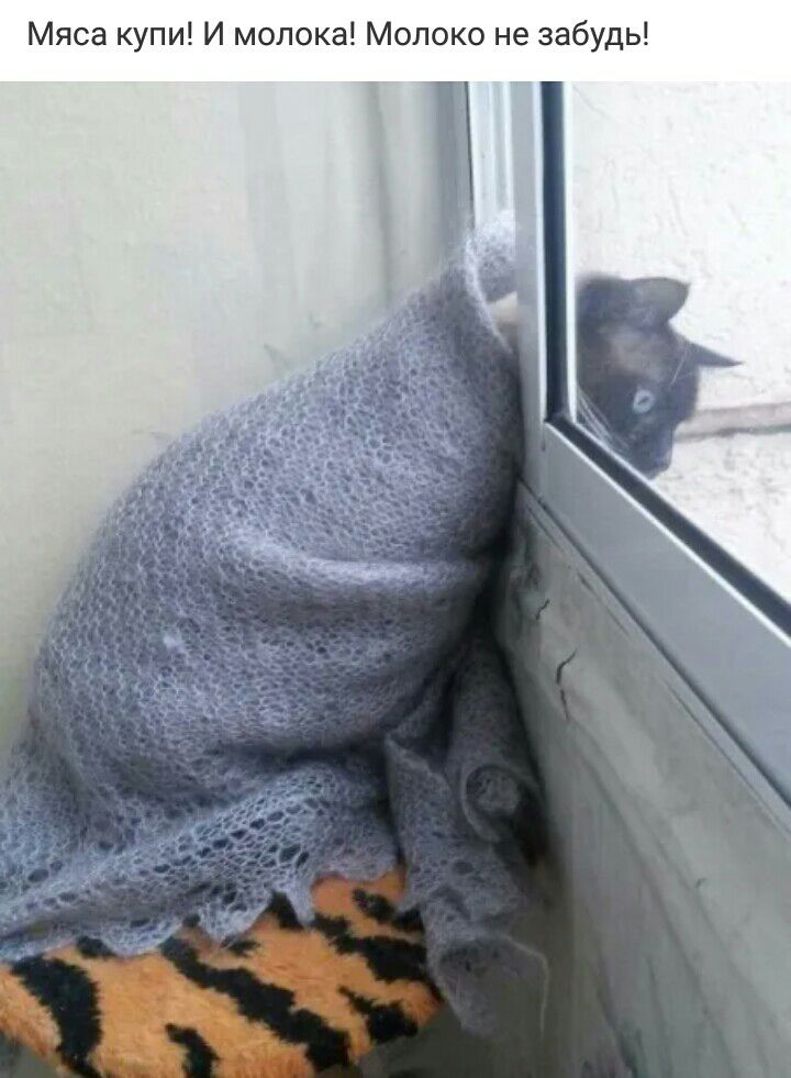 Мяса купи И молока Мол ко не забудь