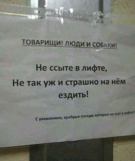 фирмы люди и совдщ Не ссыте в лифте Не так уж и страшно на нём ездить пымт увыщ шви