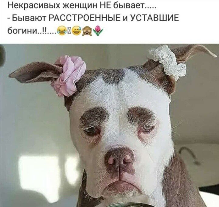 Некрасивых женщин НЕ бывает Бывают РАССТРОЕННЫЕ и УСТАВШИЕ богиниви
