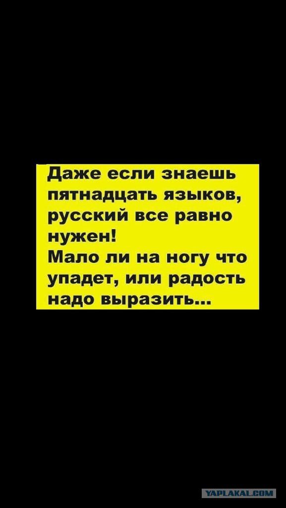 даже если знаешь пятнадцать языков русский все равно нужен Мало ли на ногу что упадет или радость надо выразить