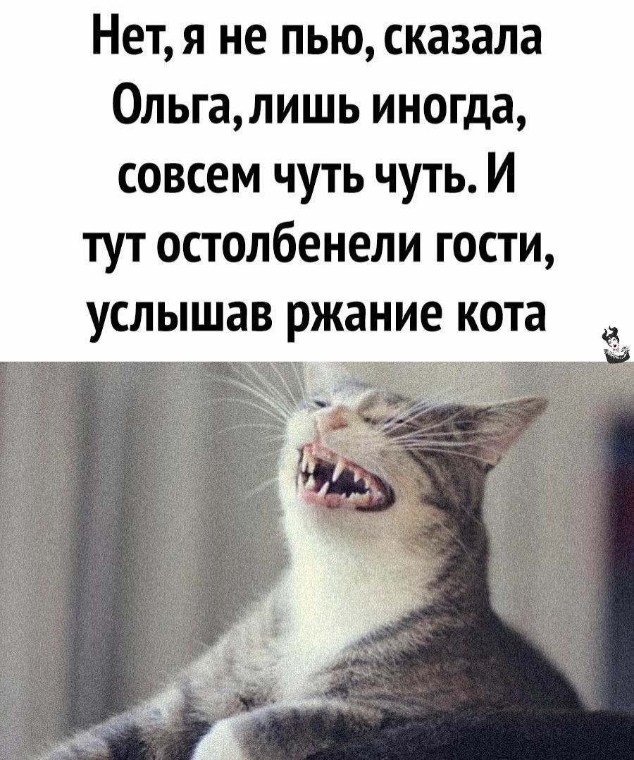Нетя не пью сказала Ольгалишь иногда совсем чуть чуть И тут остолбенели гости услышав ржание кота