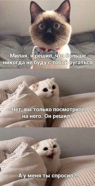 Ау меня ты спроси ь