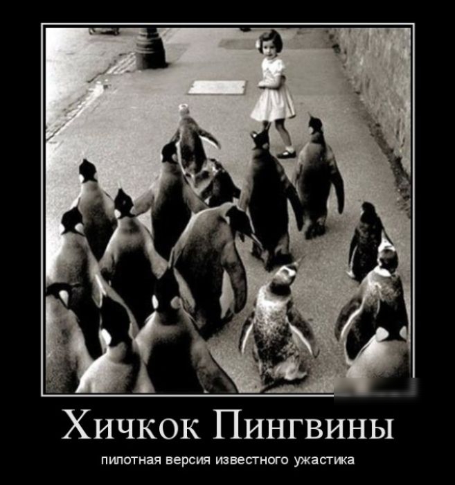Хичкок Пингвины пилотная версия известного ужастики