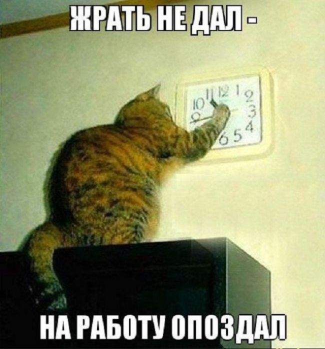 ндгдвоти опозддп
