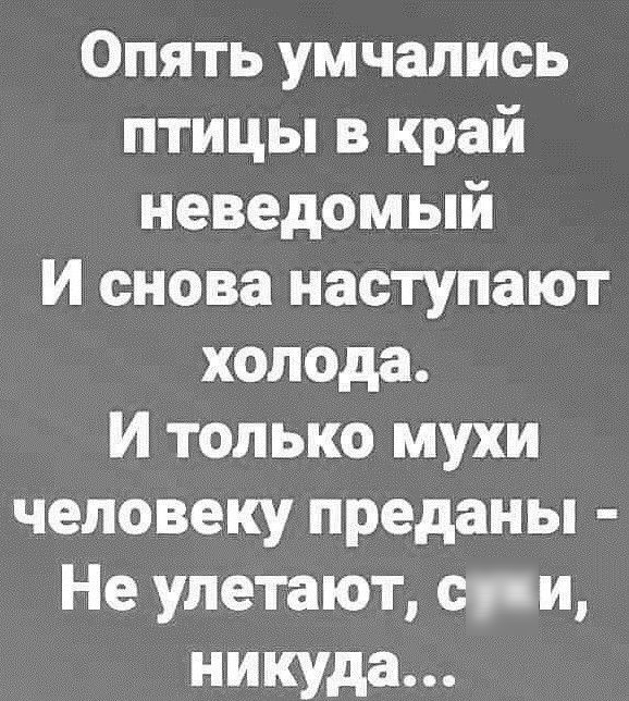 Опять умчались птицы в край неведомый И снова наступают холода И только мухи человеку преданы Не улетают спи никуда