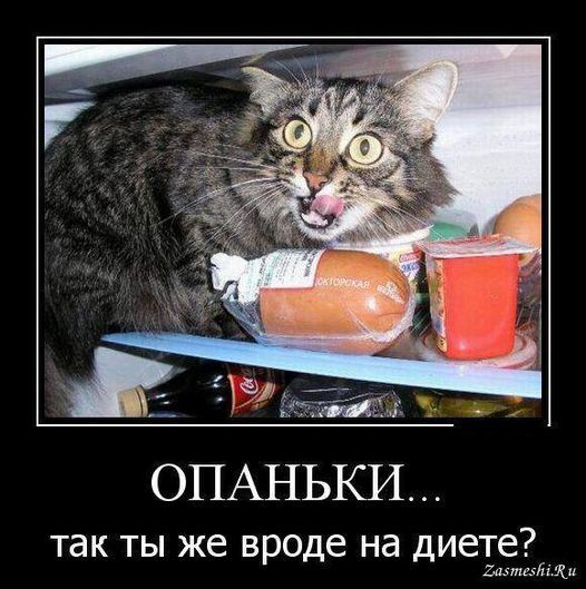 ОПАНЬКИ так ты же вроде на диете замши т