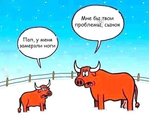 Мне бы твои проблемы сынок Поп у меня замерзли ноги