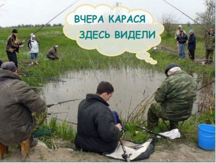 ВЧЕРА КАРАСЯ ЗДЕСЬ ВИДЕПИ