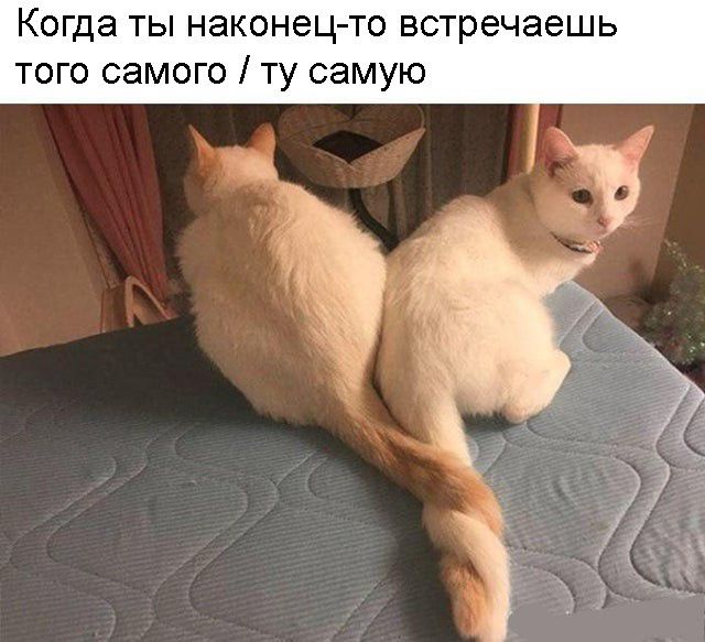 Когда ты наконец то встречаешь того самого ту самую