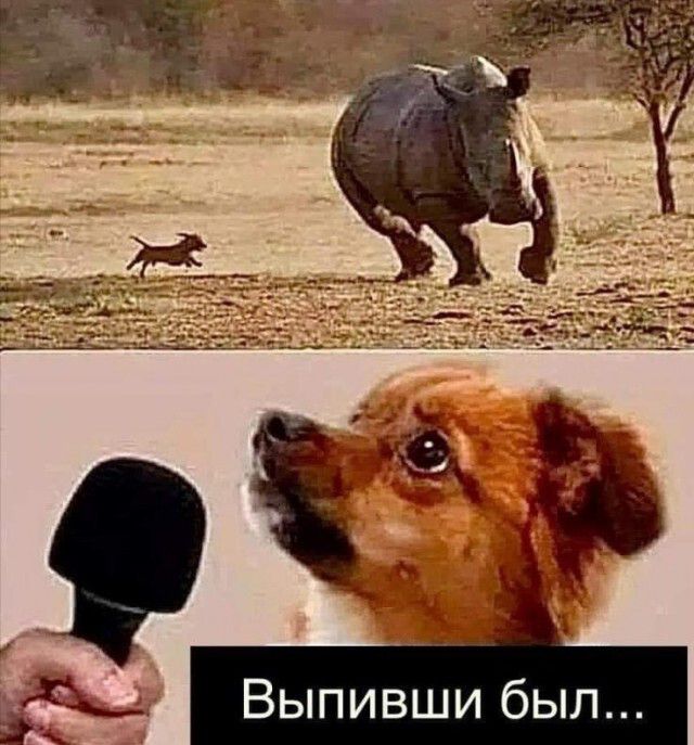 Выпивши был