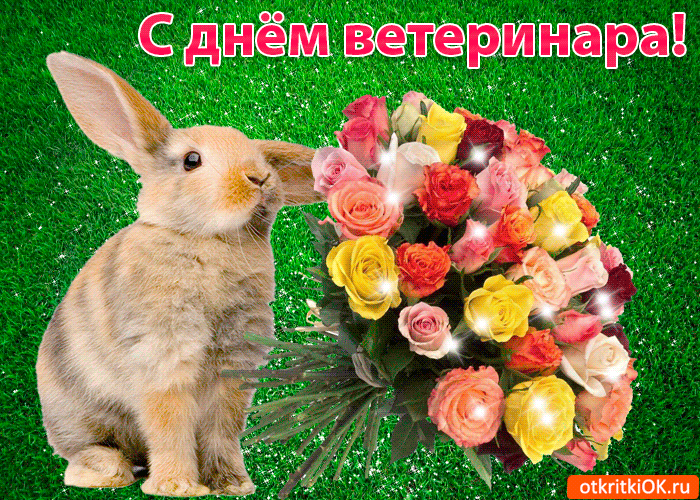сКгіСКіОКш