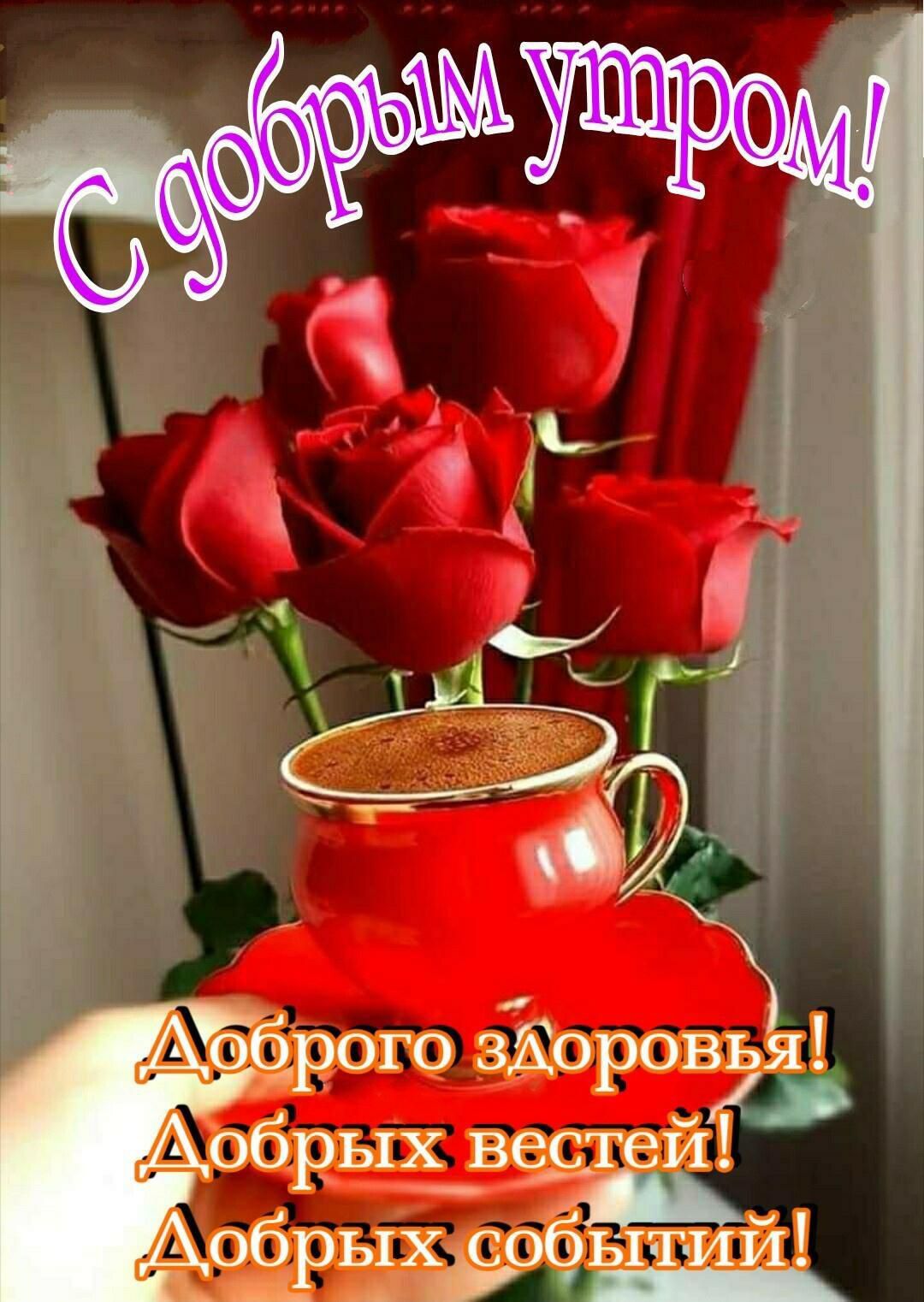 Ааёрого здоровья Аобрых веддтей С Айрёхісоёьхтии