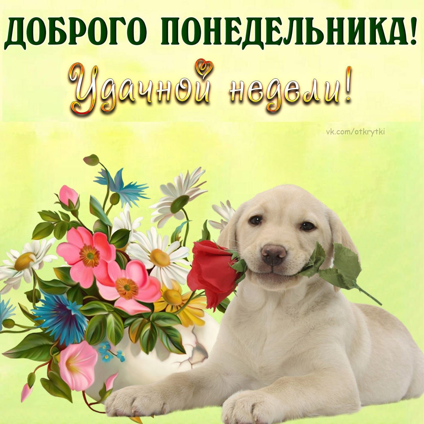 ДОБРО ПОНЕДЕЛЬНИКА ё Ё