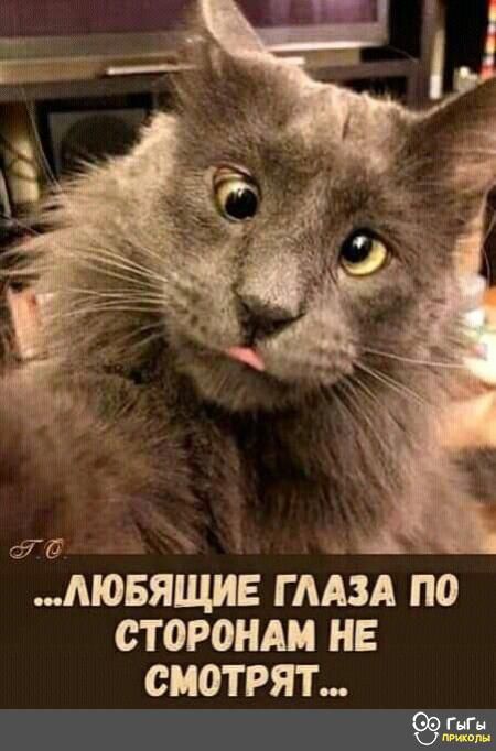 аг МОБЯЩИЕ гмзд по сторонди не смотрят 955