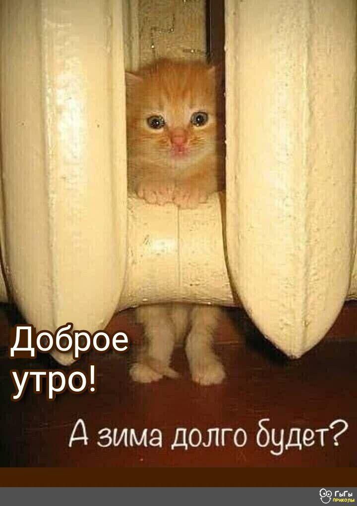А зима долго будет